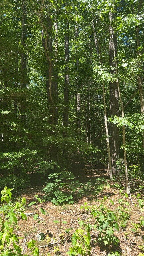5.23 New Hope Ct, Gloucester, VA 23061 - photo 2