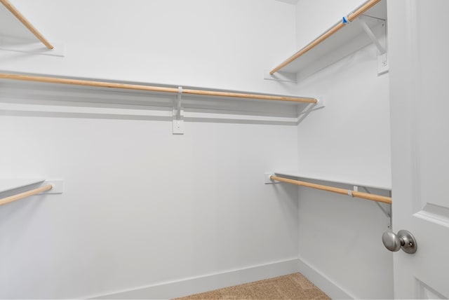 walk in closet featuring carpet