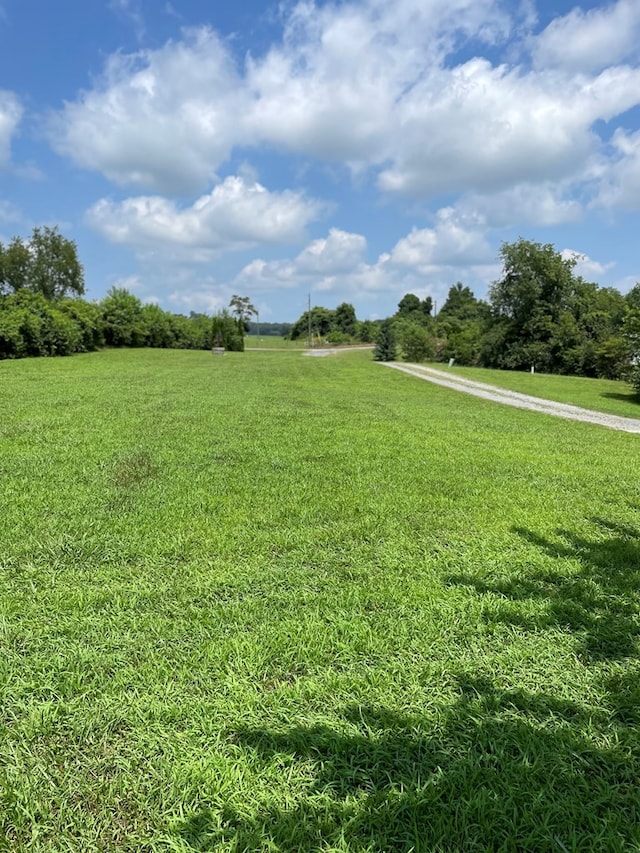 91 Dameron Dr, Hague, VA 22469 - view of green lawn with a view of rural / pastoral area