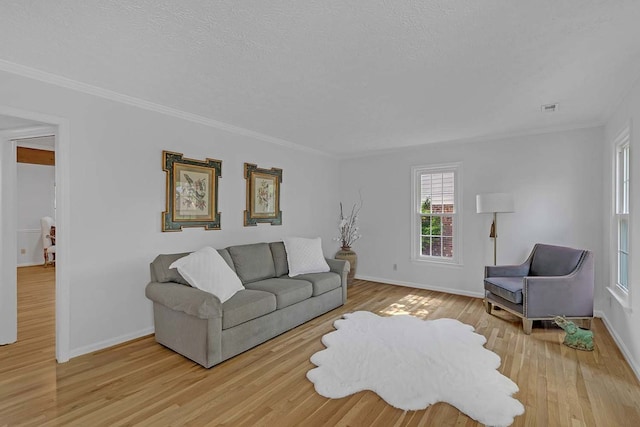 94 Arcadia Dr, Newport News, VA 23608 - living area featuring light wood-style floors, ornamental molding, and a textured ceiling