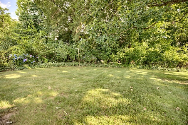 94 Arcadia Dr, Newport News, VA 23608 - view of green lawn