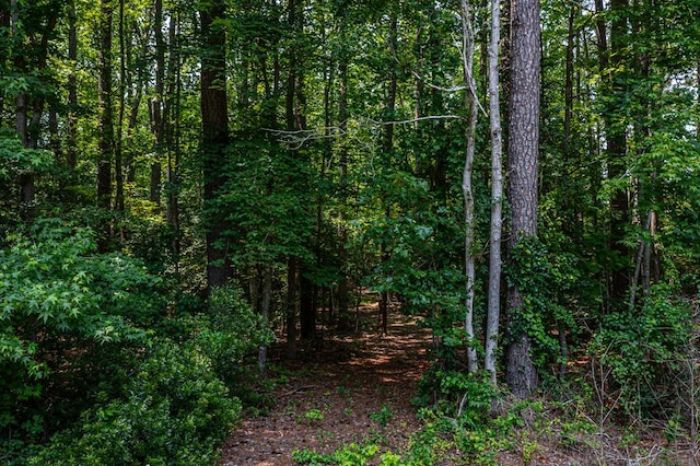 6 Neumans Rd, Heathsville, VA 22473