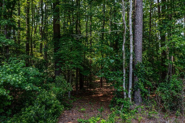 LOTS6 Neumans Rd, Heathsville, VA 22473