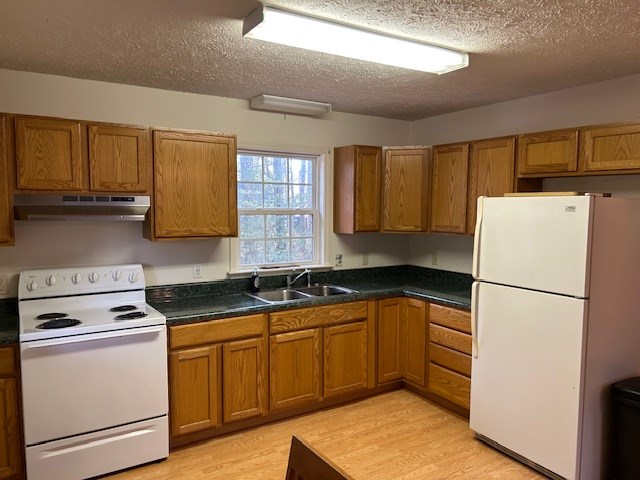 kitchen featuring white appliances, brown cabinets, a sink, and under cabinet range hood