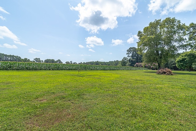134 Walker Rd, White Stone, VA 22578 - photo 68