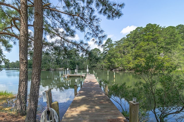 134 Walker Rd, White Stone, VA 22578 - photo 45