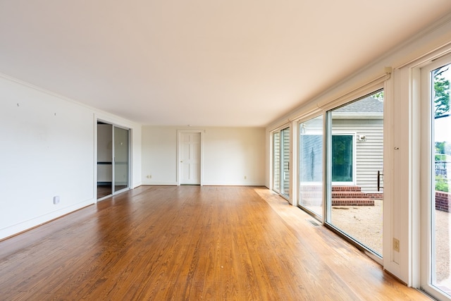 unfurnished room with light hardwood / wood-style flooring and a healthy amount of sunlight