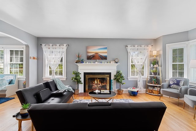 living room featuring hardwood / wood-style flooring and plenty of natural light