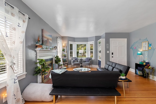 living room with wood-type flooring