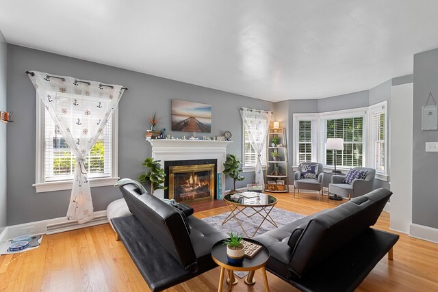 living room featuring hardwood / wood-style floors