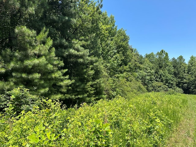 20399 Kings Hwy, Montross, VA 22520