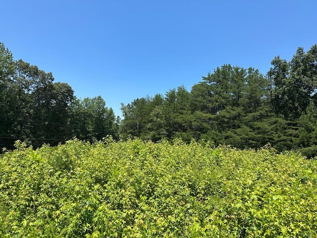 20399 Kings Hwy, Montross, VA 22520