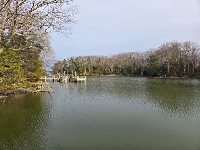 view of water feature featuring a boat dock