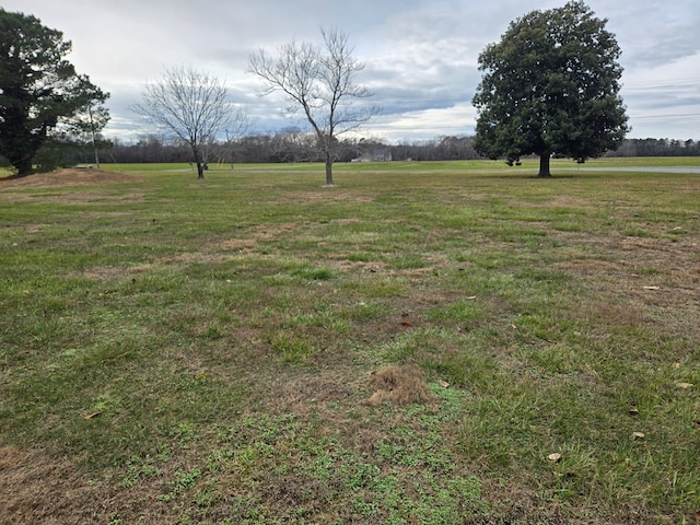 view of yard featuring a rural view