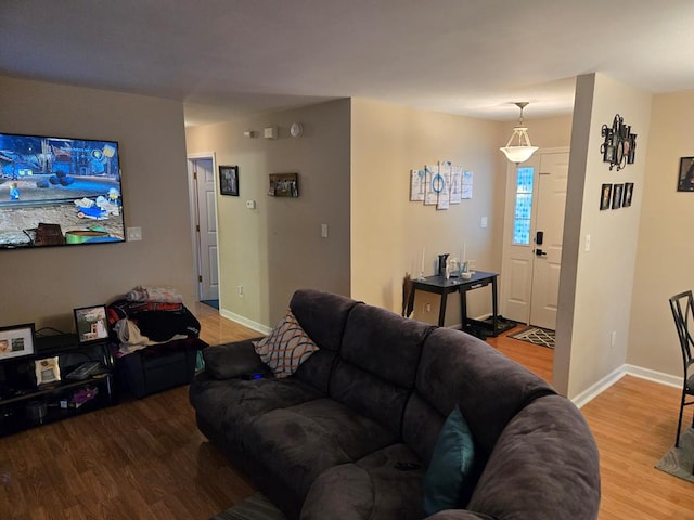 living room featuring hardwood / wood-style floors