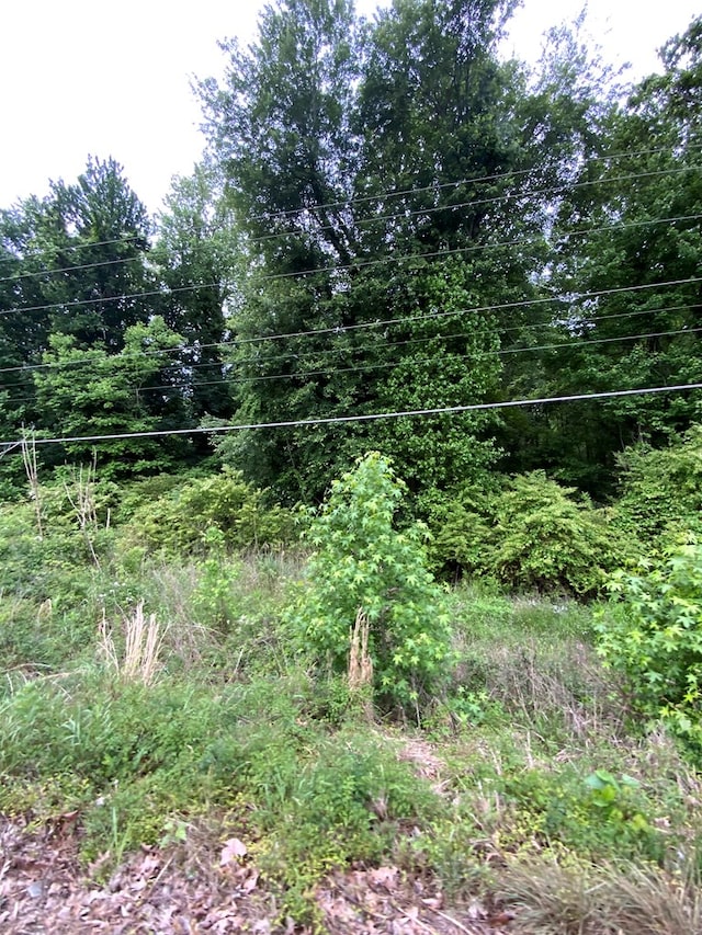 Listing photo 3 for LOT18 Mary Ball Rd, Kilmarnock VA 22482