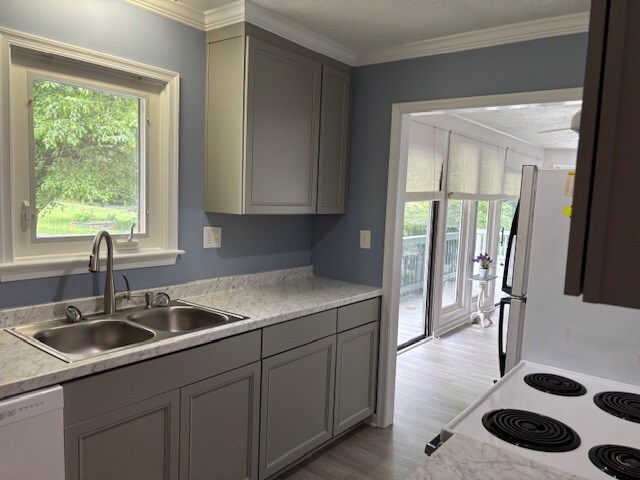 890 Gordon Way, Montross, VA 22520 - kitchen featuring a sink, healthy amount of natural light, light wood finished floors, white appliances, and ornamental molding