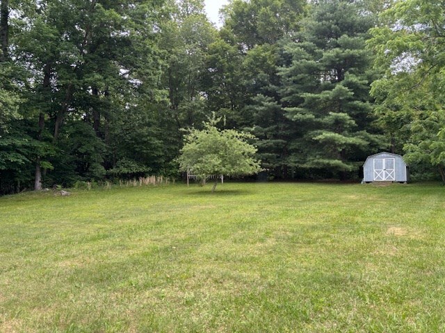 890 Gordon Way, Montross, VA 22520 - view of grassy yard featuring a forest view