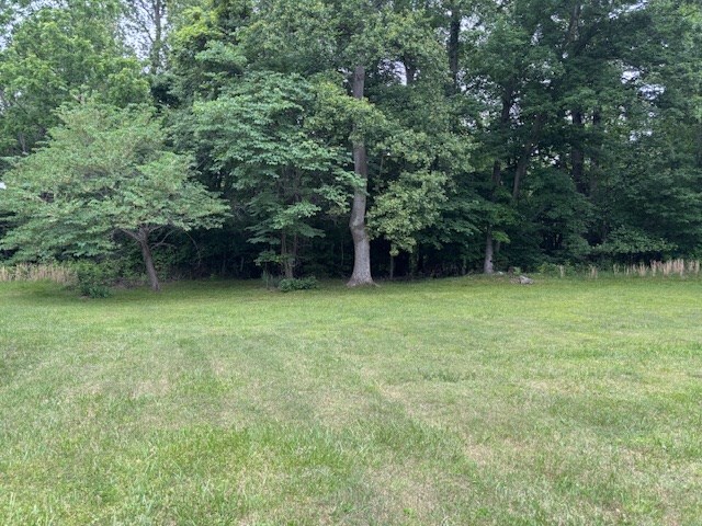 890 Gordon Way, Montross, VA 22520 - view of grassy yard