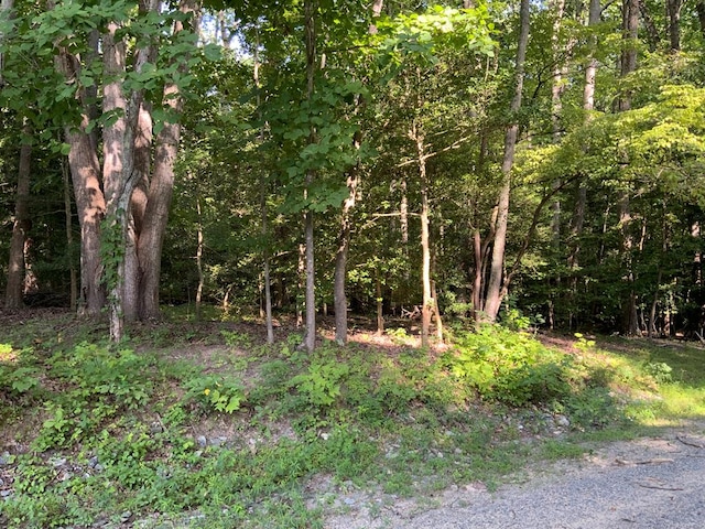 LOT142 Ridgeview Ln, Lancaster VA, 22503 land for sale