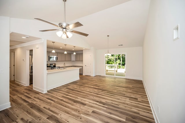 405 Cedar Ln, Colonial Beach, VA 22443 - kitchen with stainless steel appliances, lofted ceiling, wood finished floors, light countertops, and open floor plan