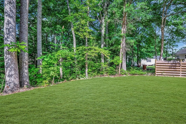405 Cedar Ln, Colonial Beach, VA 22443 - view of grassy yard