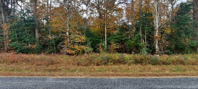 34-63A Quinton Oak Ln, Farnham, VA 22460 - photo 2