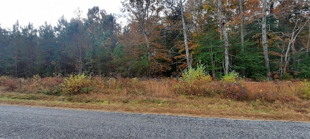 34-63A Quinton Oak Ln, Farnham, VA 22460 - photo 6
