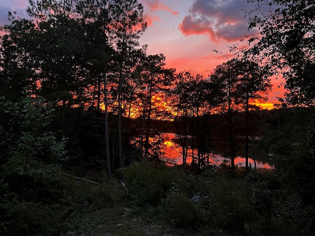 view of nature at dusk