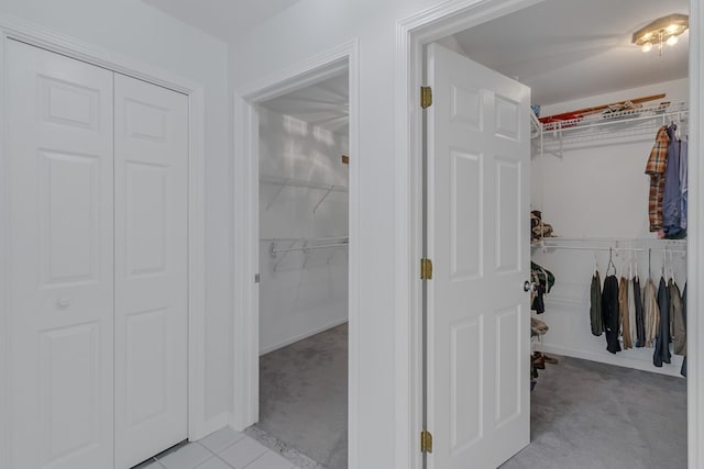 walk in closet with light carpet