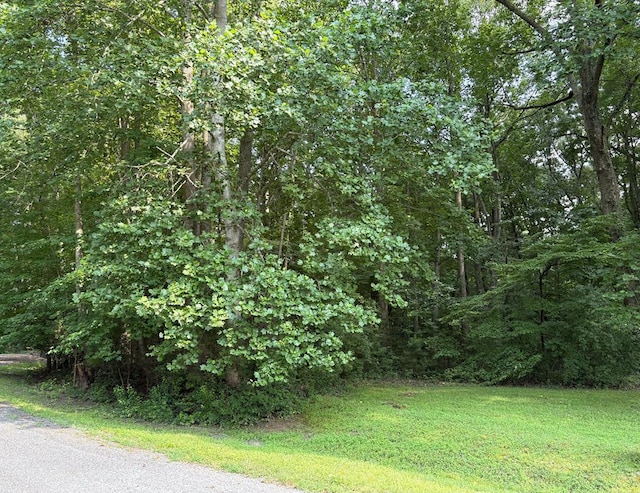 7 Blackwells Ct, Heathsville, VA 22473 - photo 1