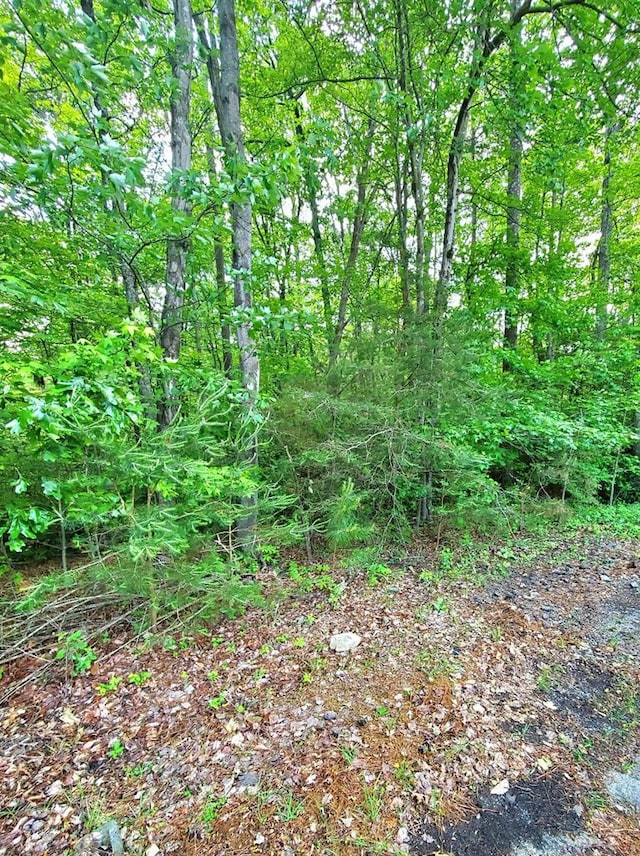 LOT11 Timberland Dr, Montross, VA 22520