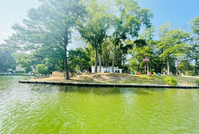 dock area with a water view