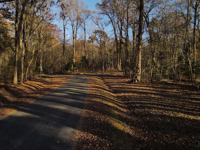 Listing photo 3 for LOT23 Muriel Dr, Heathsville VA 22473