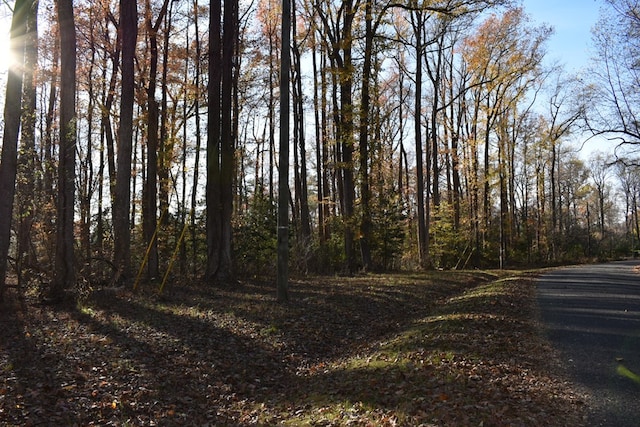 Listing photo 2 for LOT23 Muriel Dr, Heathsville VA 22473