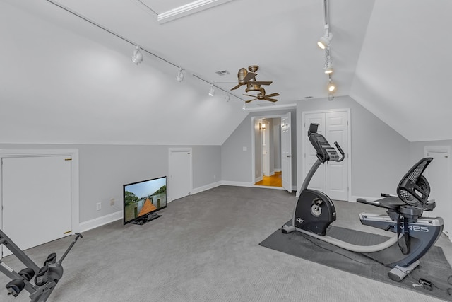 324 Bayberry Ln, Reedville, VA 22539 - exercise room featuring rail lighting, vaulted ceiling, carpet flooring, and baseboards