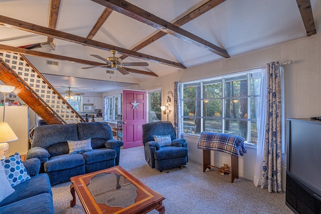 carpeted living room with ceiling fan, beamed ceiling, and high vaulted ceiling