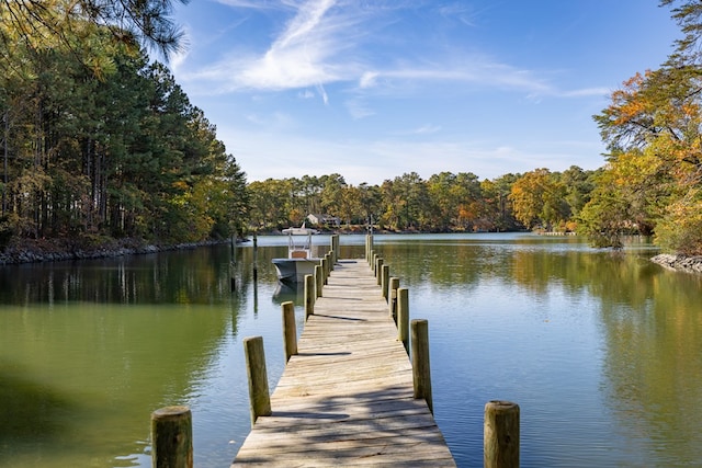 dock area featuring a water view