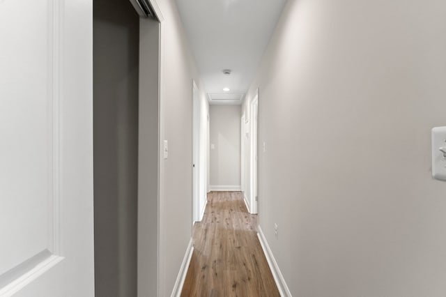 hall with hardwood / wood-style flooring