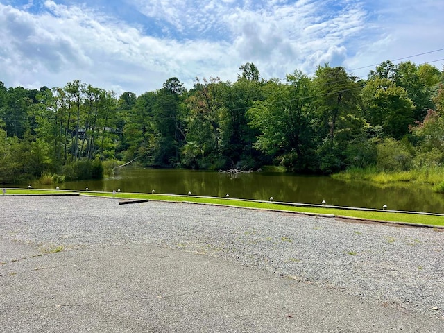 view of home's community with a water view