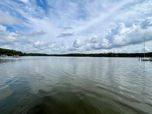 water view with a dock