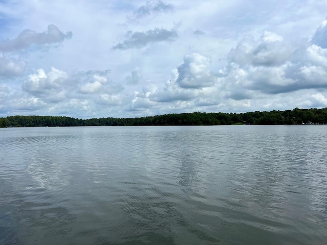 view of water feature