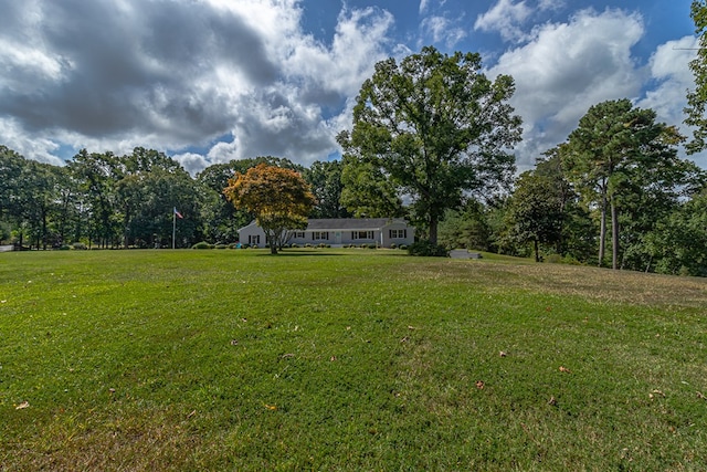 view of yard