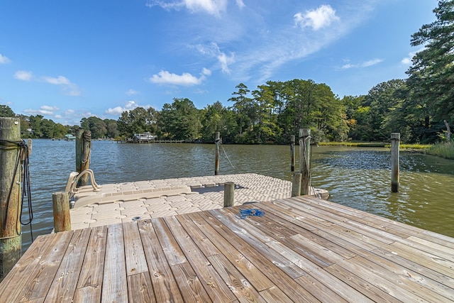 dock area with a water view