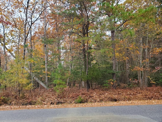 44 Presley Creek Dr, Heathsville, VA 22473