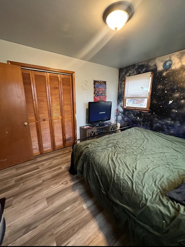 bedroom featuring wood finished floors and a closet