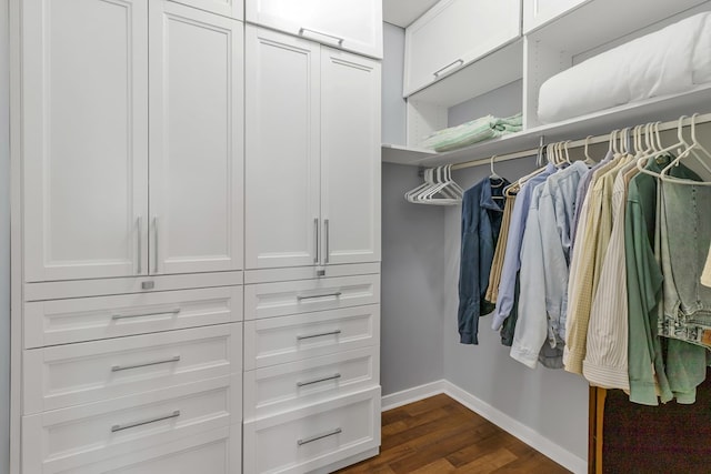 walk in closet featuring dark hardwood / wood-style flooring