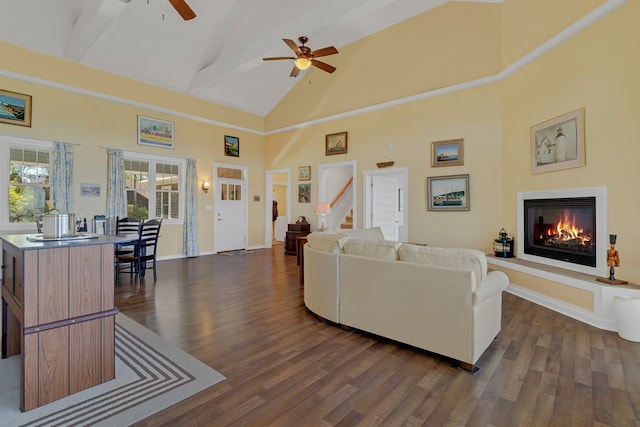 living room featuring high vaulted ceiling, dark hardwood / wood-style floors, and ceiling fan