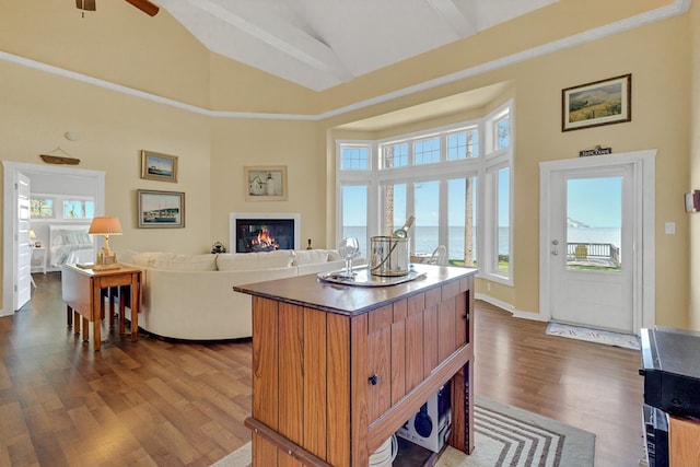 kitchen with a water view, high vaulted ceiling, and hardwood / wood-style flooring