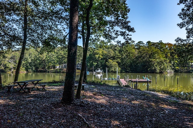 view of yard with a boat dock and a water view